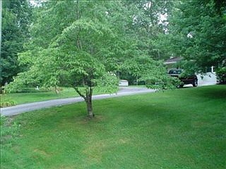 4th image of 9066 Weketa Dr