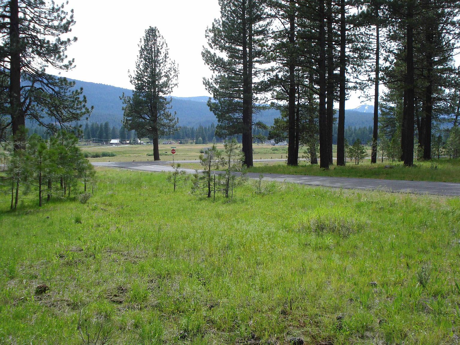 2083 Valley Ranch Dr, Clio, CA 96106 MLS 20220011 Zillow