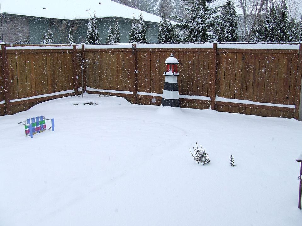 Snow Day 07