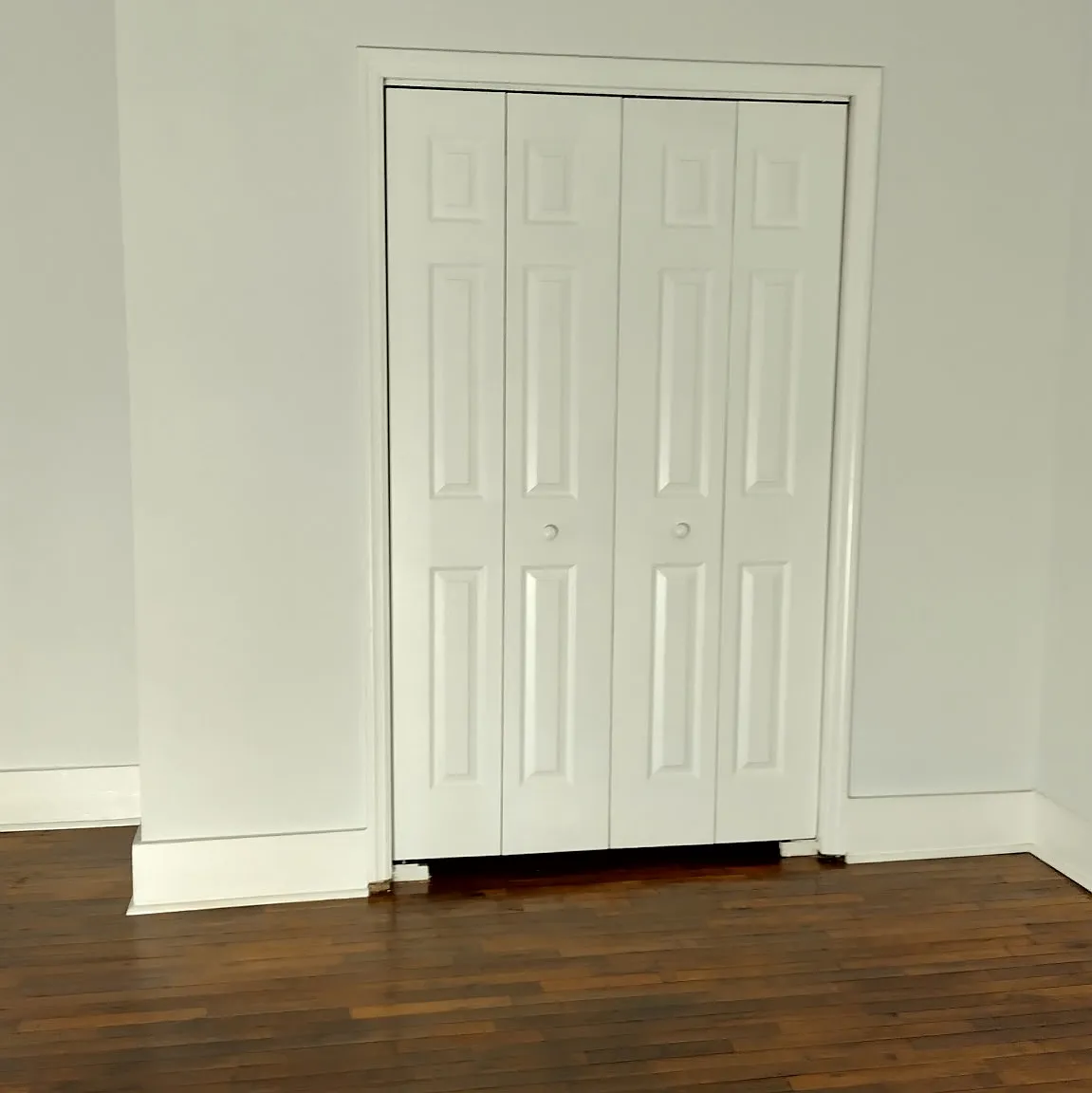 1 bed, 800 sqft, $800 — Photo 4