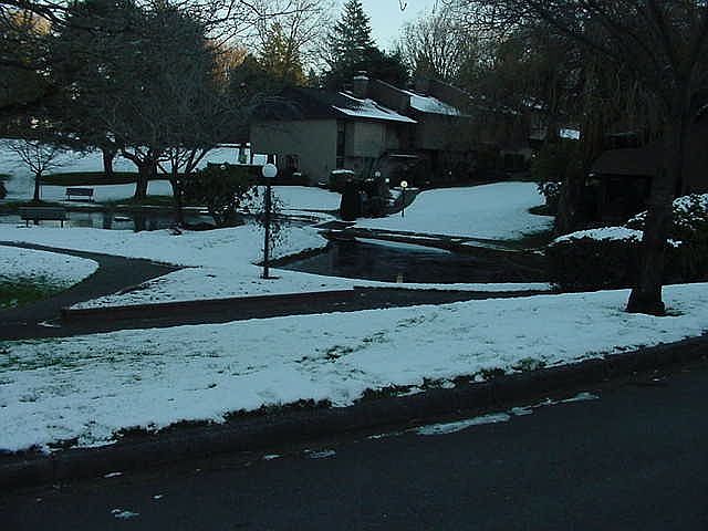 Famous Duck Pond