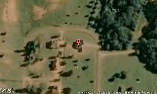 Map View