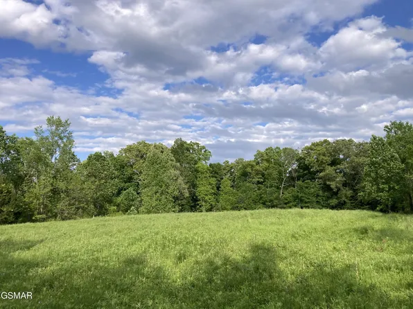 24265 S Mohawk Rd, Midway, TN 37809