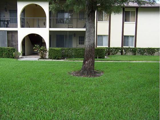 1st image of 3531 Tall Pine Way APT B-1
