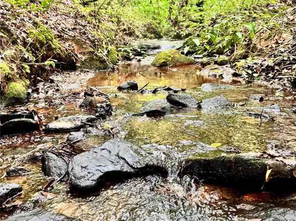 0 Travelers Rest Ln, Rutherfordton, NC 28139