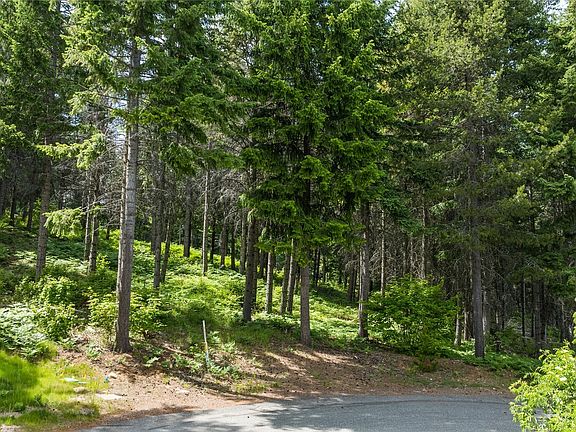 3rd image of 351 Quick Creek Lane