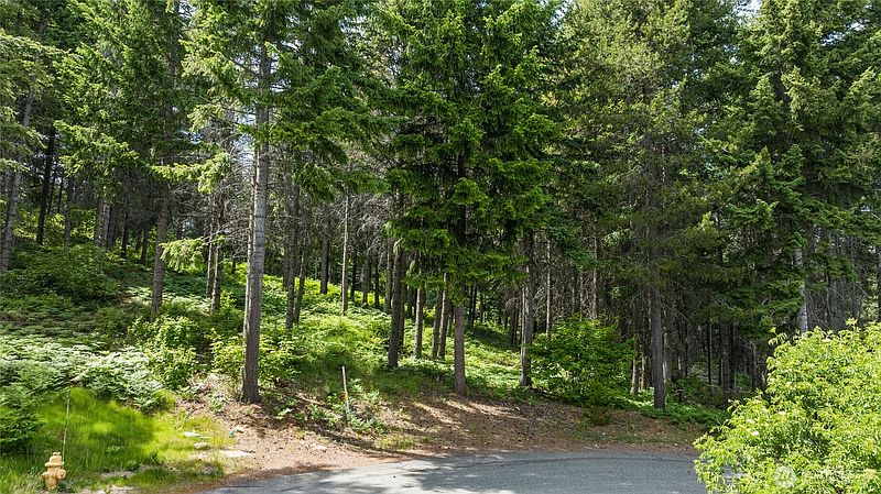 3rd image of 351 Quick Creek Lane