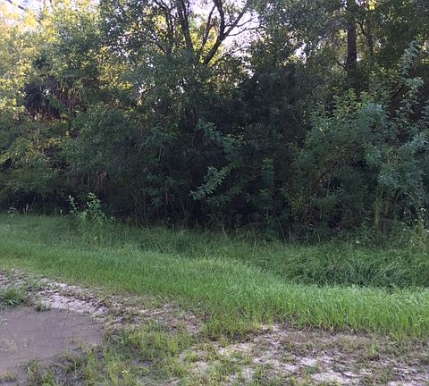 3rd image of O Lett Ln