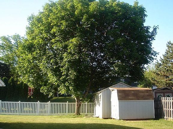 view towards backyard/sheds