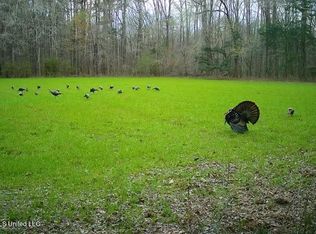 Highway 541, Mendenhall, MS 39114