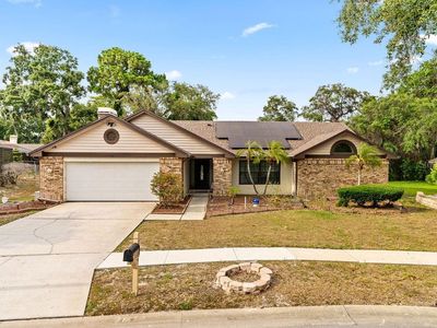 3629 Nettle Creek Ct, Holiday, FL, 34691