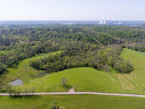 Lots of room to roam!