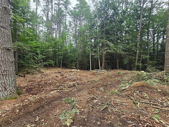 5th image of Lot 36 Beaver Dam Road