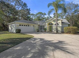 4 Spruce Pine Dr, Homosassa, FL 34446