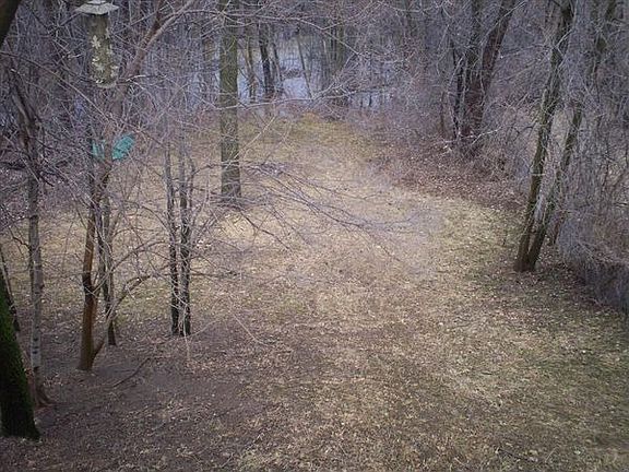 Summit+backyard