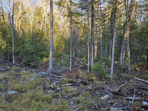 199 Poplar Street, Old Town, ME 04468