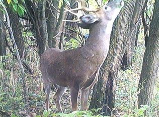 16805 4b Rd, Plymouth, IN 46563