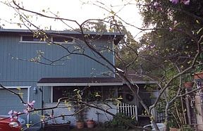 1st image of 16425 Woodland Hill Ln