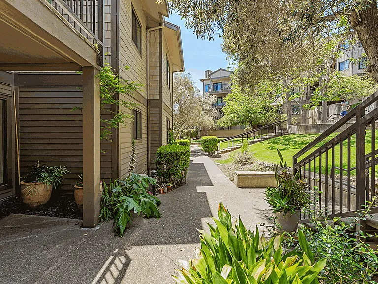 Larkspur Courts — Photo 21