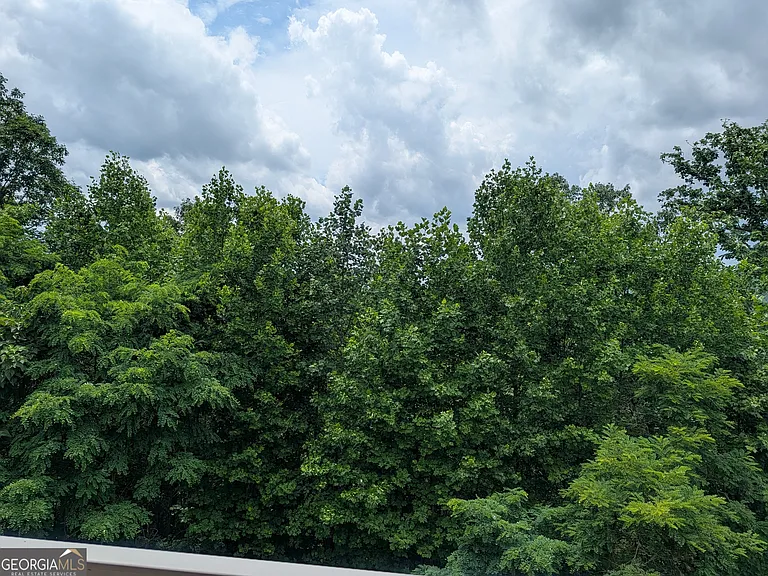 388 Ross Ridge Rd — Photo 17