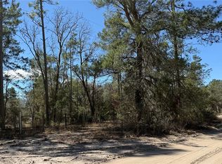 10650 NE 210th St, Fort Mc Coy, FL 32134