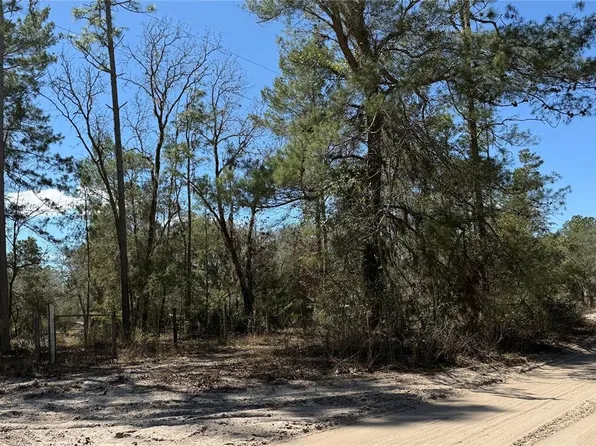 10650 NE 210th St, Fort Mc Coy, FL 32134