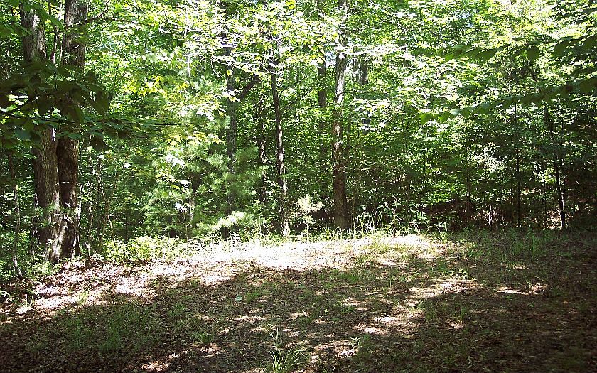 1st image of 9 Bourne Dr