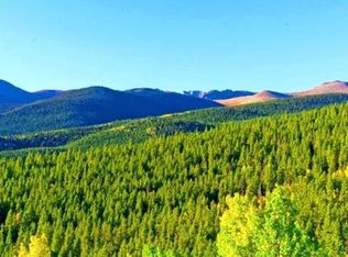 1111 Lamartine #R, Georgetown, CO 80444