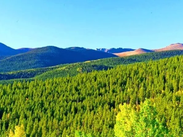 111 SW Ift, Georgetown, CO 80444