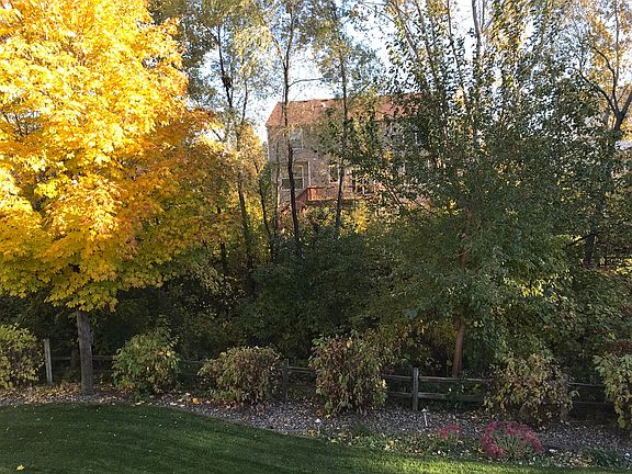 5th image of 971 Earley Lake Pl