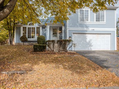 1199 N Pin Oak Trl, Aurora, IL, 60506