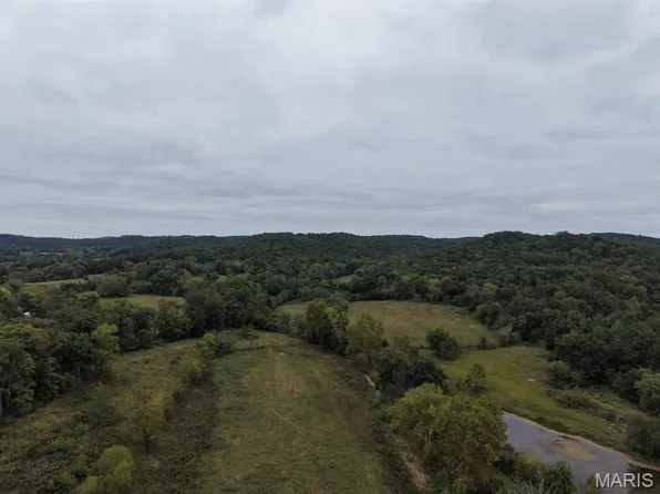 0 County Road 160, Des Arc, MO 63636