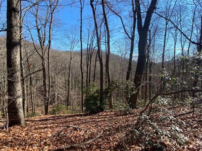 108 Camp Elliott Rd, Black Mountain, NC, 28711