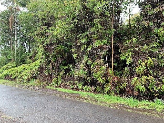 2nd image of 239 Road 4