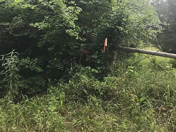 5th image of 312 N Tract