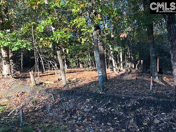 4th image of 313 Overlook Dr