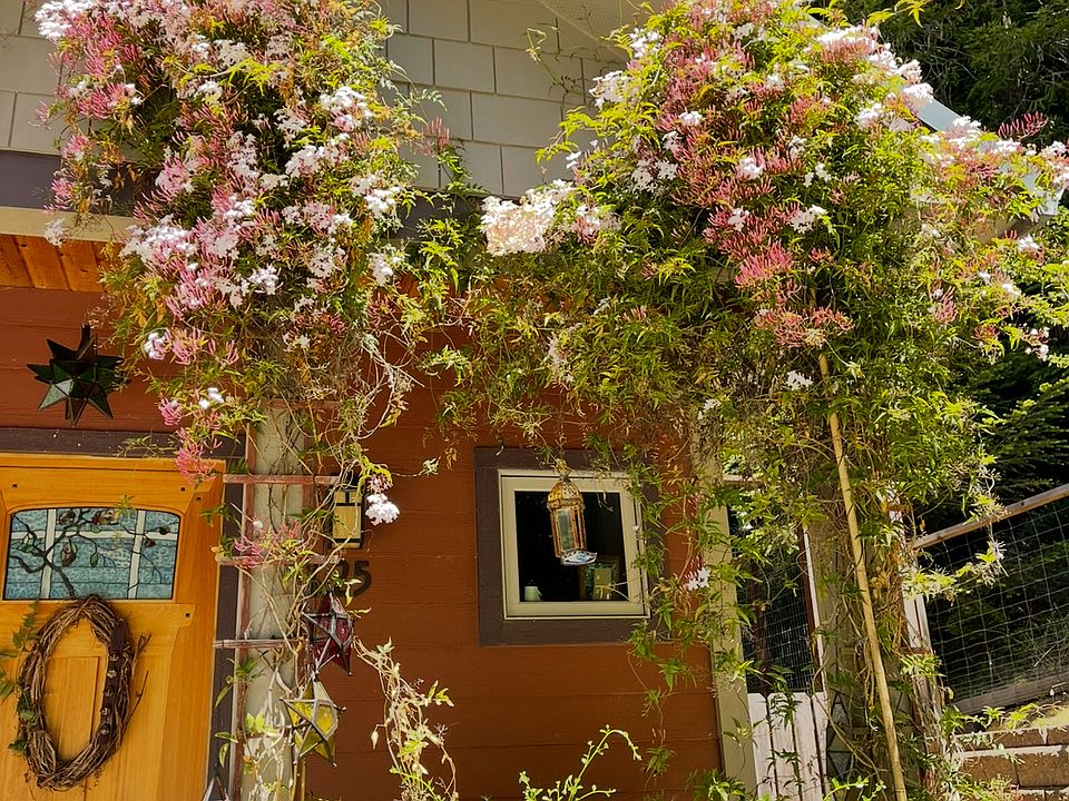 1st image of 125 Garden Ln