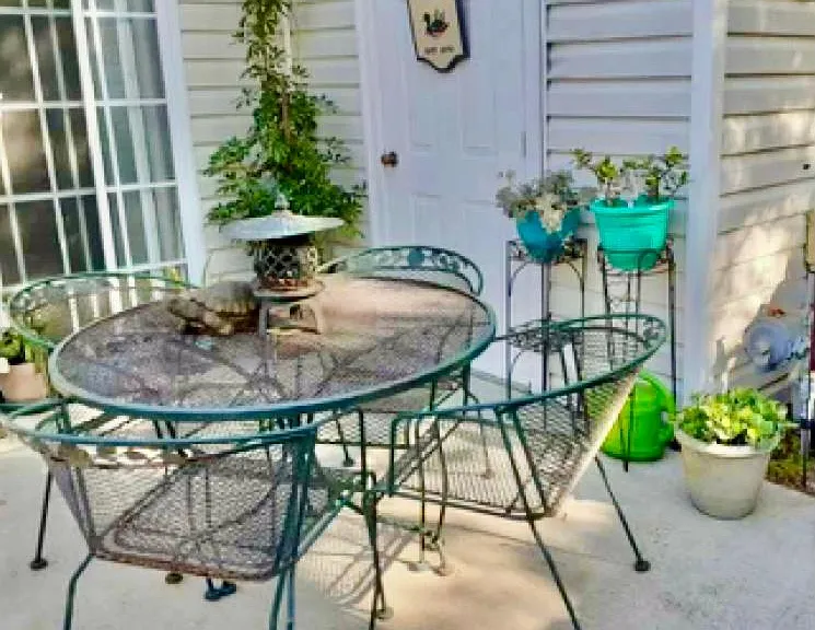Outdoor Patio with Utility Shed.