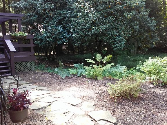 Front landscape and deck