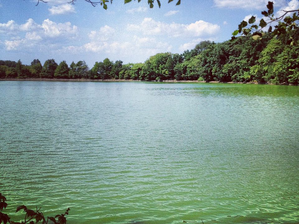 Silver Lake Park, jog,walk..