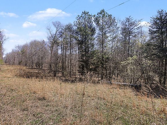 5th image of 4749 Parker Loop Rd