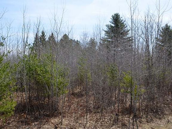 5th image of On Loop Rd