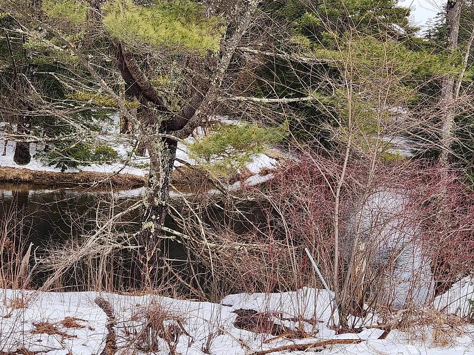 2nd image of 1032 Bearcamp Highway