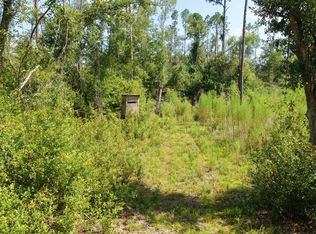 Vacant Sw Tower Rd, Madison, FL 32340