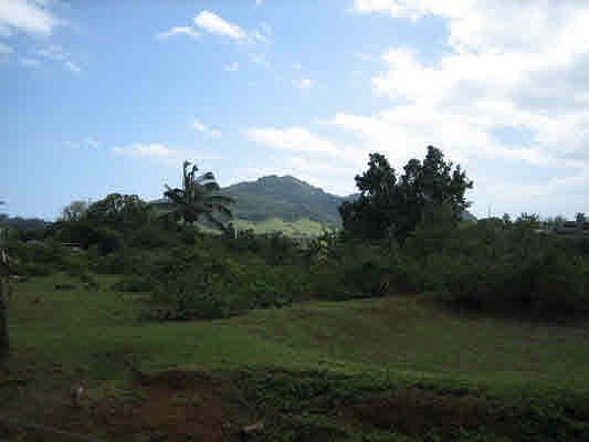 2nd image of 5971 Hauiki Rd