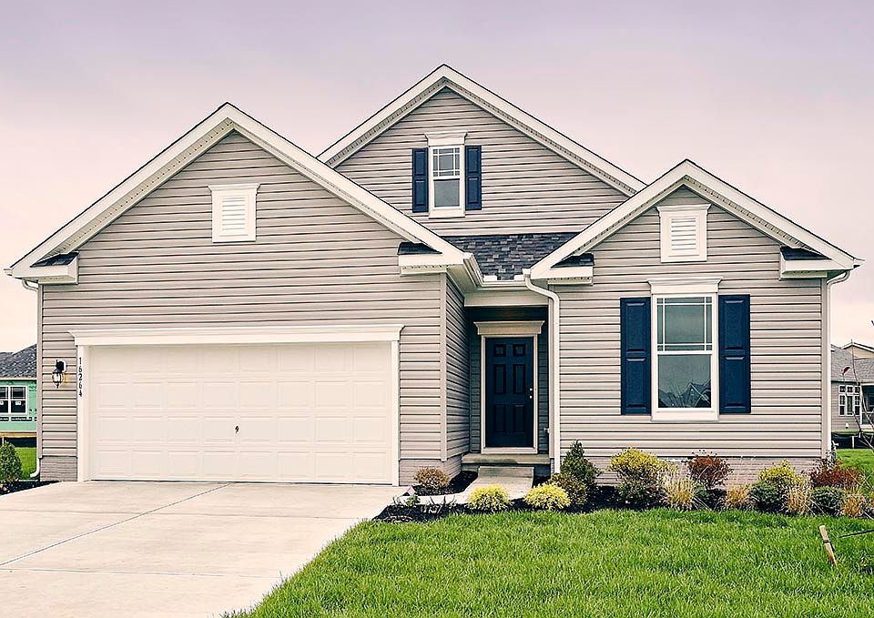 Elevation Image 0.