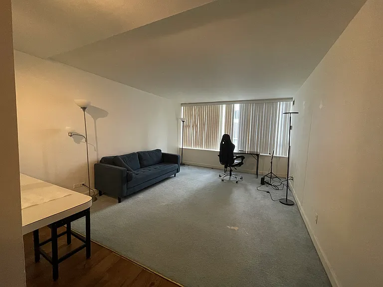 233 E Erie St #2309 — Photo 18