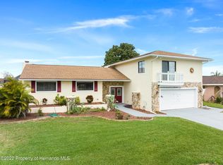 4218 Camelia Dr, Hernando Beach, FL 34607