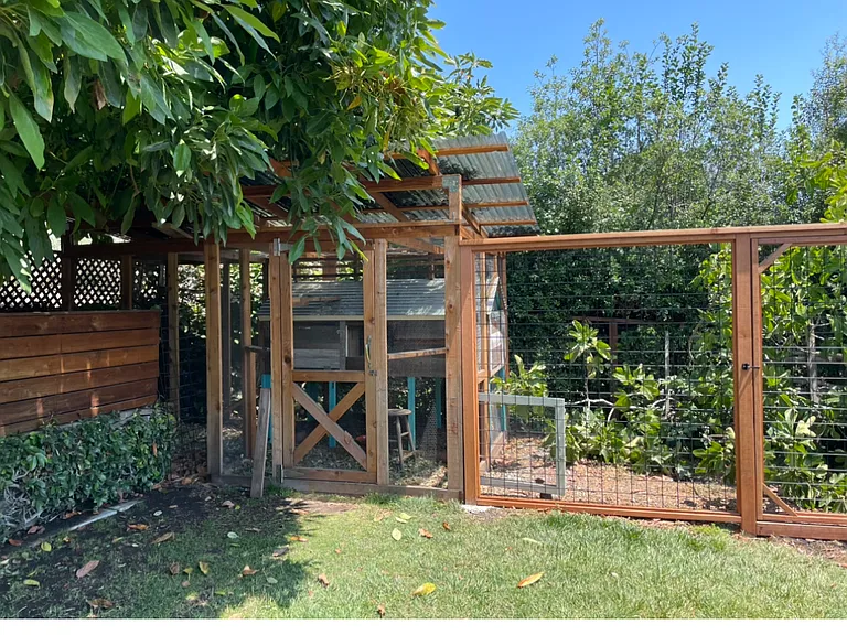 516 Escalona Dr — Photo 11