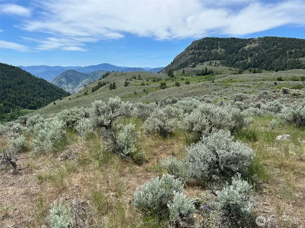 1 TBD Ellemeham Mountain Road, Oroville, WA 98844